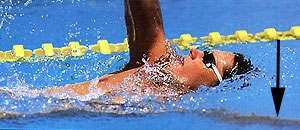 Lenny swims backstroke (2)